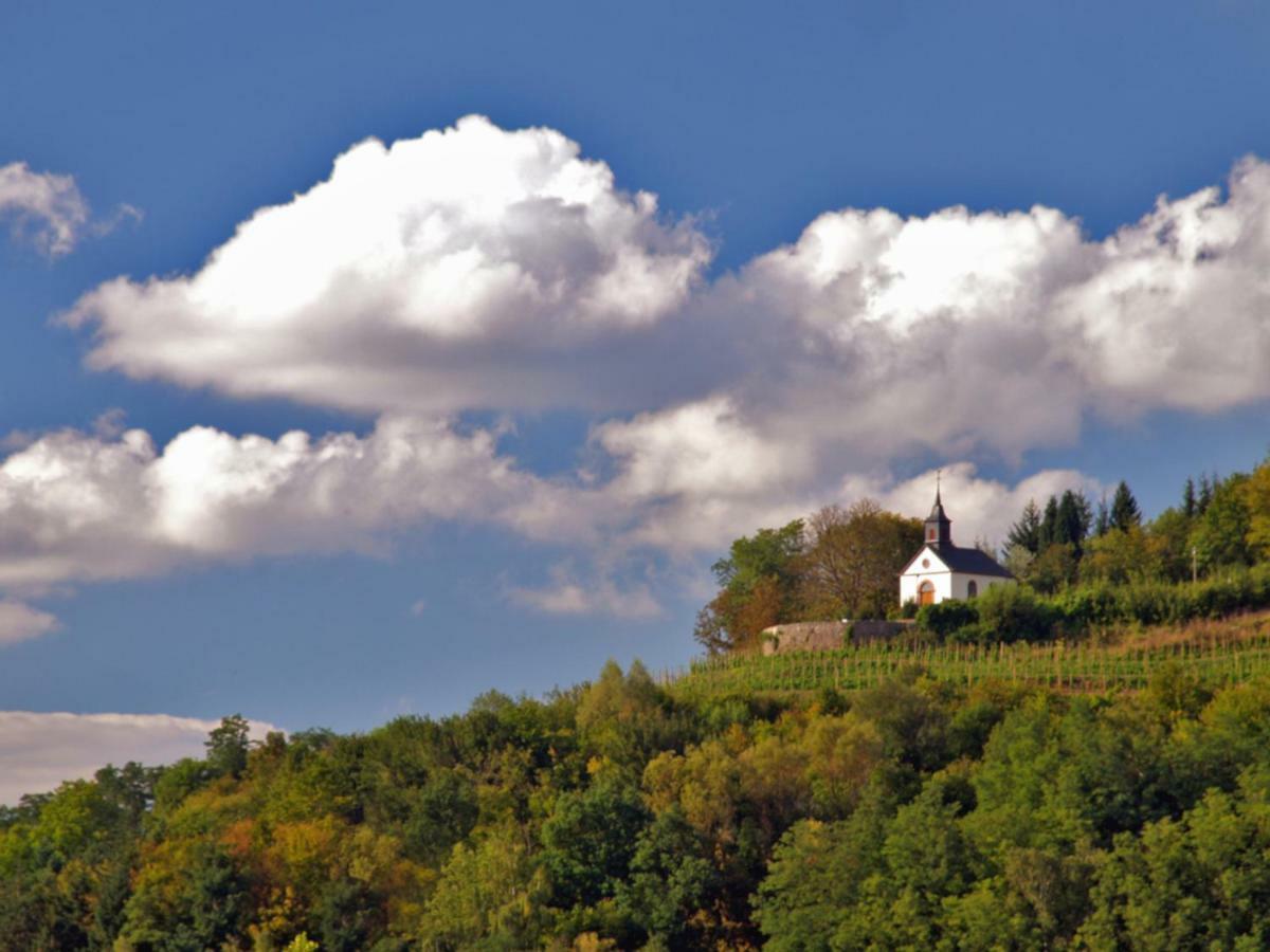 Ferienwohnung Am Gipsberg Merzig Kültér fotó